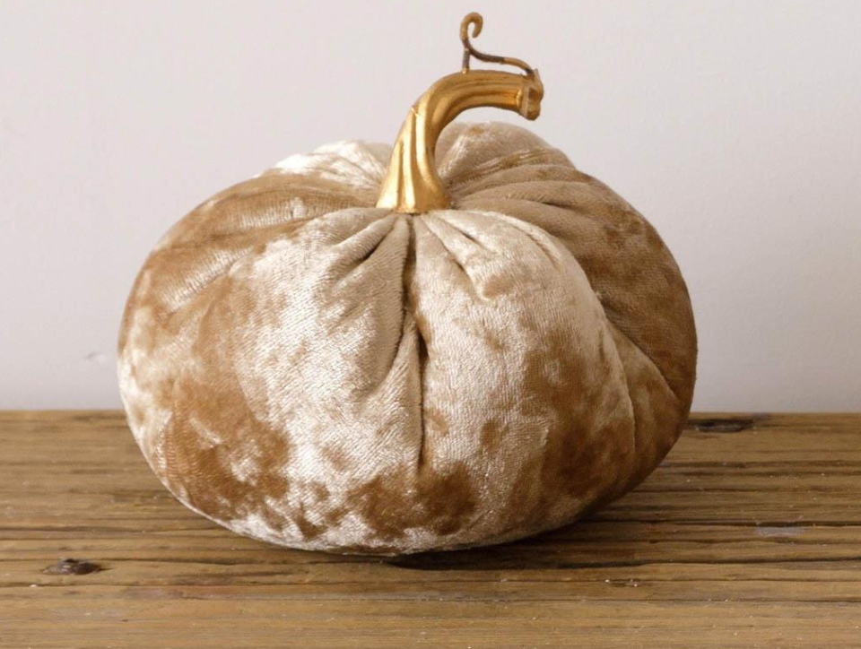 Champagne Velvet Pumpkin with Gold Stem - Small