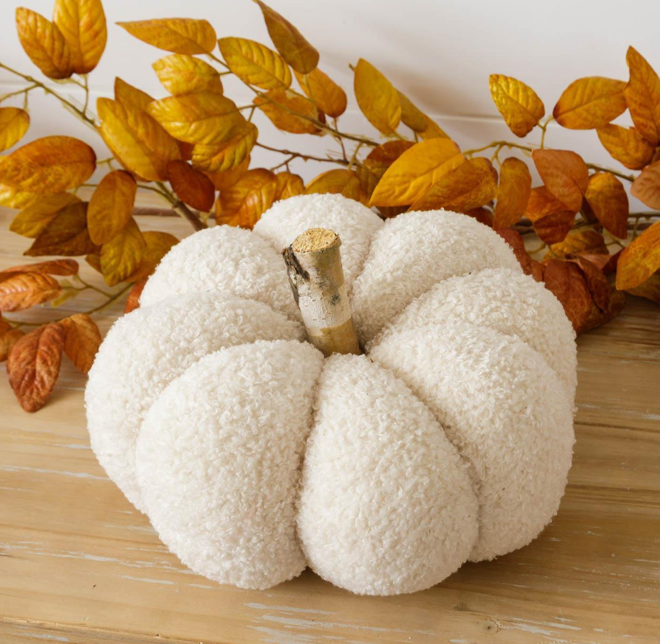 Cozy Cream Pumpkin with Birch Stem